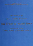 Tell Chuēra in Nordost-Syrien: vorläufiger Bericht über die siebente Grabungskampagne 1974 by Ursula Moortgat-Correns