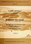 Kāmid el-Lōz. 8: Die Spätbronzezeitlichen Tempelanlagen ; die Kleinfunde ; Tafeln by [unknown]