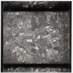 NC_8_3_38_4-33 by United States Department of Agriculture