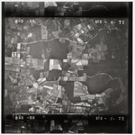 NC_8_3_38_4-71 by United States Department of Agriculture