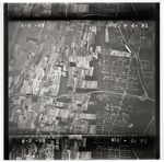 NC_8_3_38_4-81 by United States Department of Agriculture