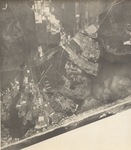 sc193010e2 by Air Map Corporation of America, Inc. and Suffolk County Regional Planning Board