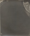 sc193011g2 by Air Map Corporation of America, Inc. and Suffolk County Regional Planning Board