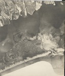 sc19302b1 by Air Map Corporation of America, Inc. and Suffolk County Regional Planning Board